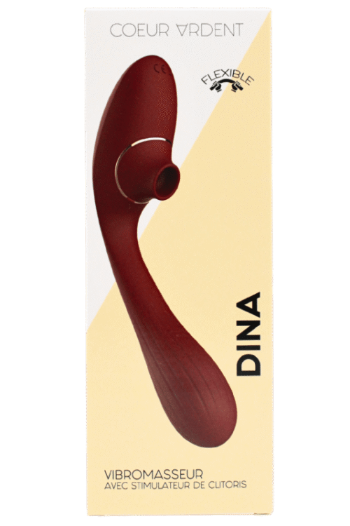 Stimulateur Clitoridien Vibromasseur Point G 2-en-1